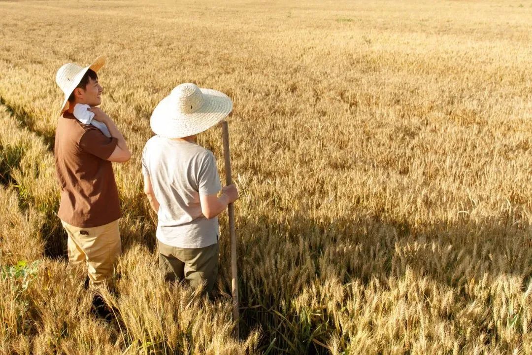 1100万人选择返乡，，怎样助力他们做事创业？？