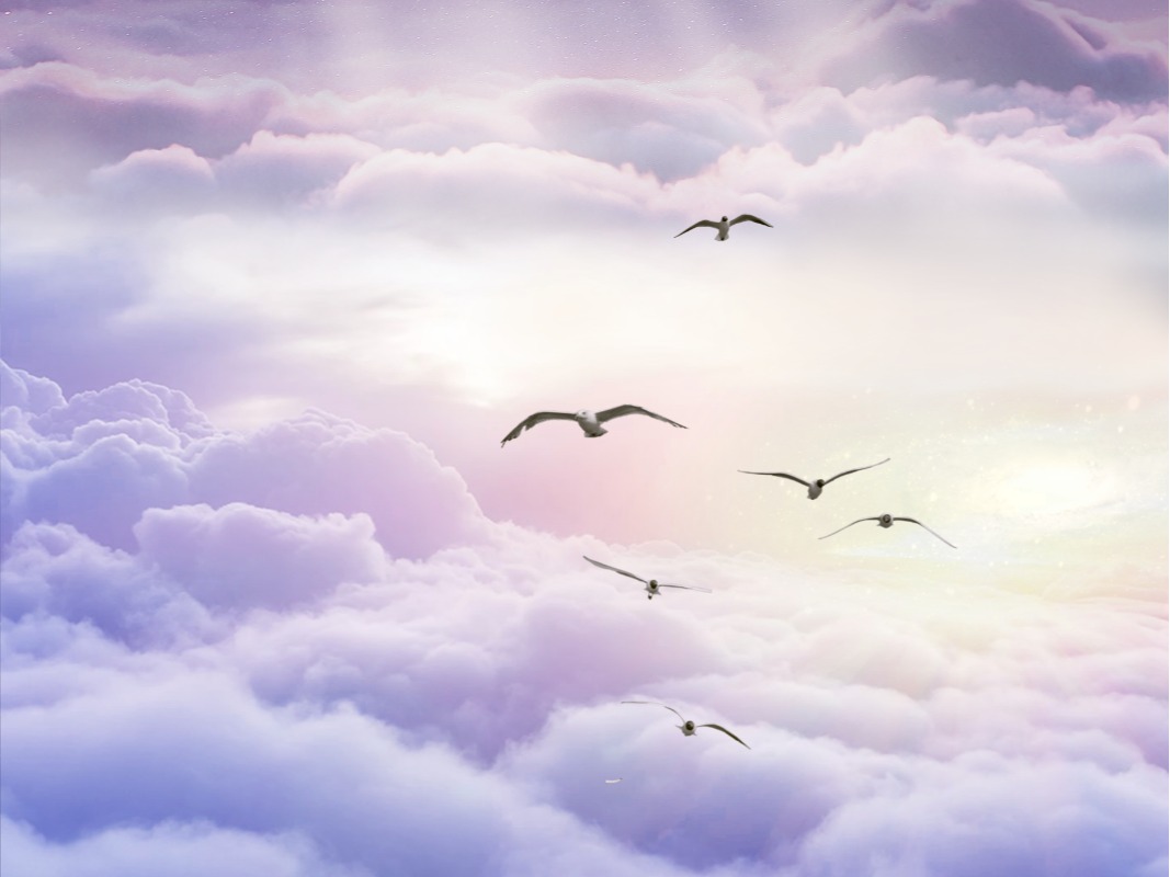 加拿大pc28预测(中国)官方网站