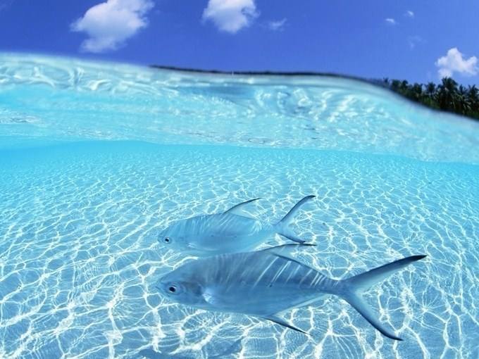 加拿大pc28预测(中国)官方网站