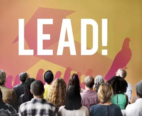 3EC224D459FE4BCA03101511285_65166CA6_6BC2