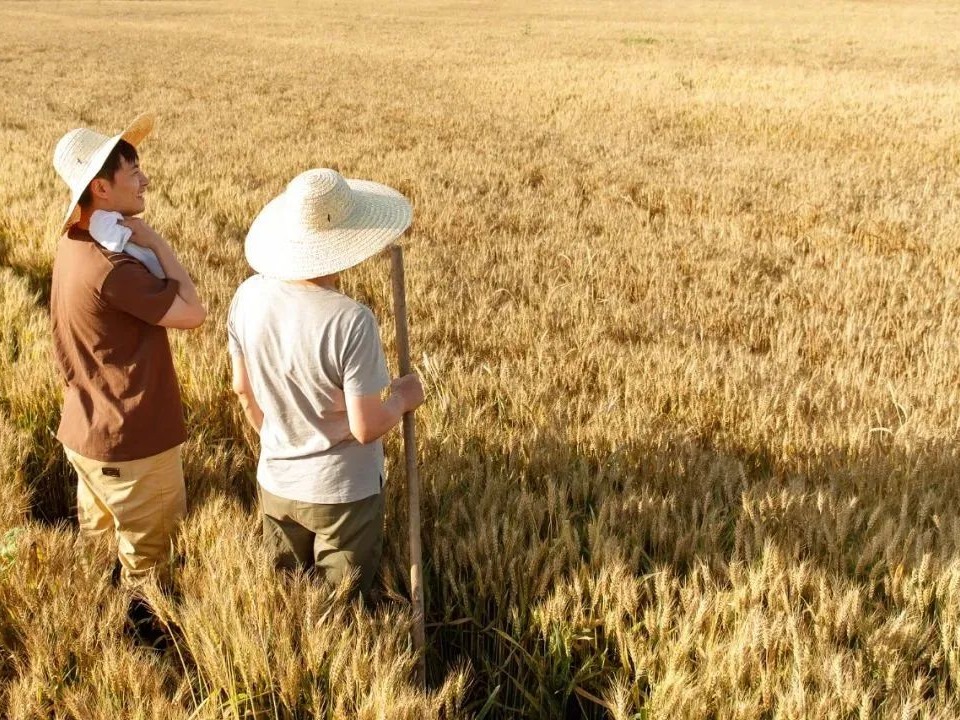 加拿大pc28预测(中国)官方网站