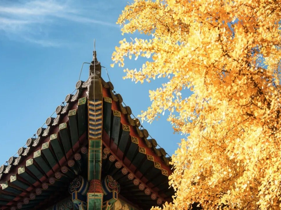 加拿大pc28预测(中国)官方网站