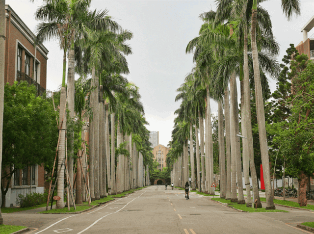 台湾：：：匠心银发工业探访丨国际商务方略