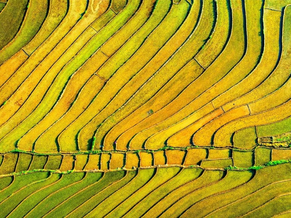 加拿大pc28预测(中国)官方网站