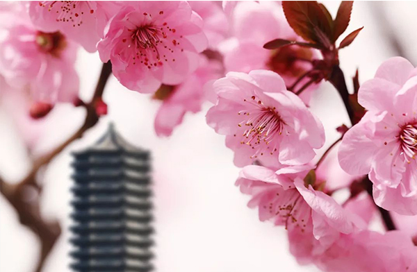 加拿大pc28预测(中国)官方网站