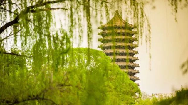 595517E941D4437650006324318_79E1FBDB_AAC9