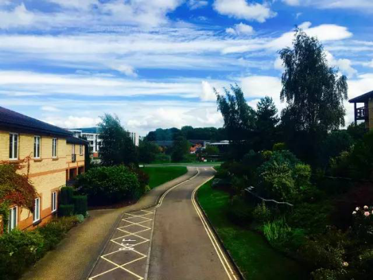 手艺是修行，，品牌是沉淀?