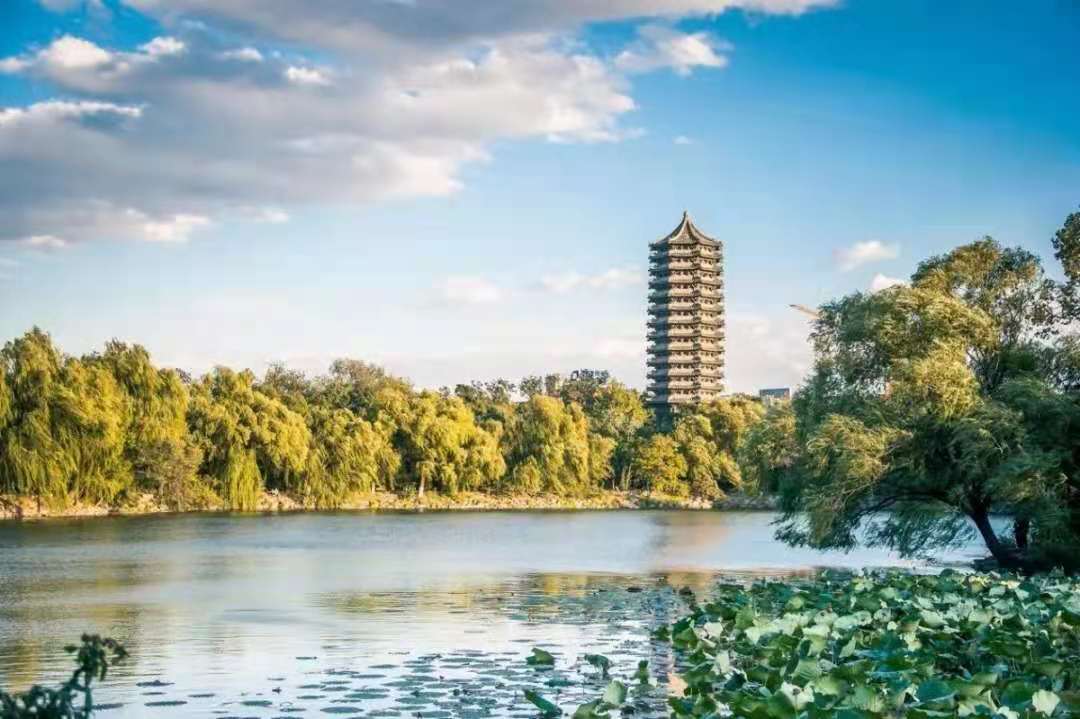 3E2D6AF83EF09EAF92F7B9FD31E_059E9CD9_15B43.jpeg?e=