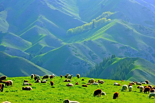 加拿大pc28预测(中国)官方网站