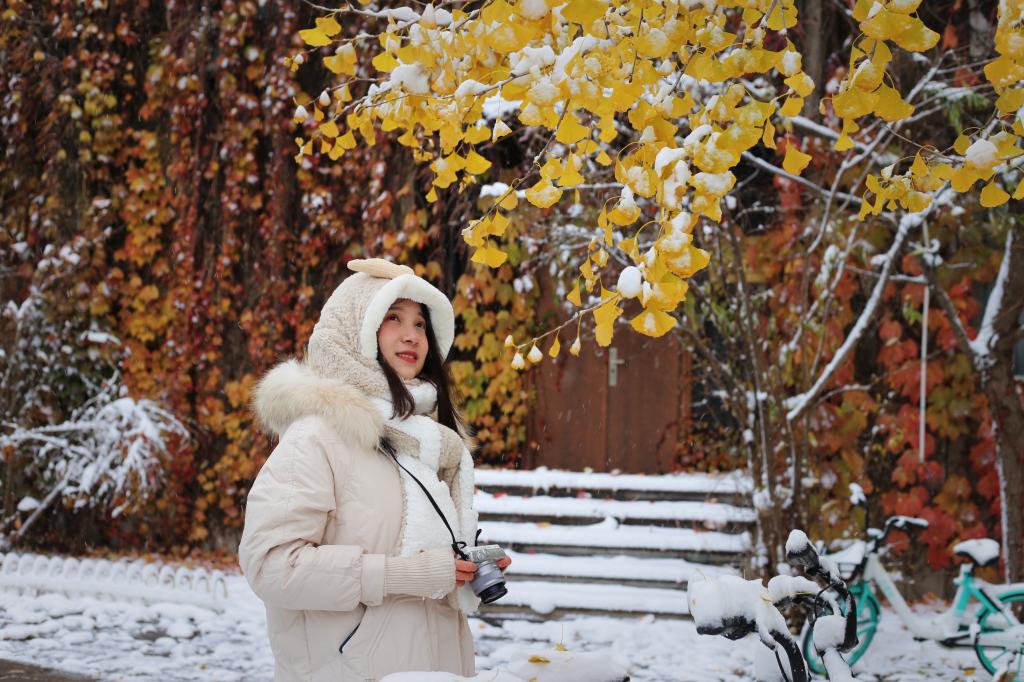 加拿大pc28预测故事集 | 陈思远：：不辜负生涯，，不迷失偏向