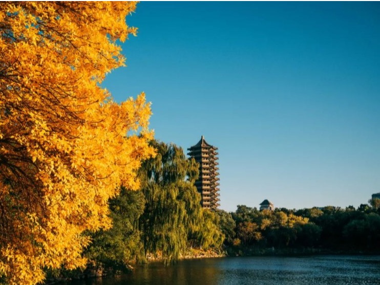 加拿大pc28预测(中国)官方网站