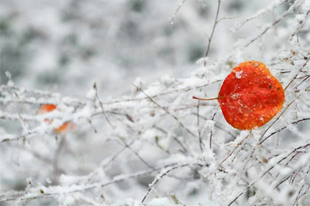 加拿大pc28预测(中国)官方网站