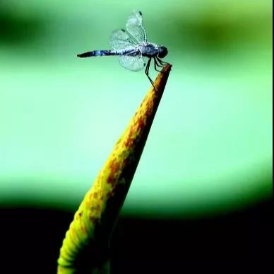 加拿大pc28预测(中国)官方网站