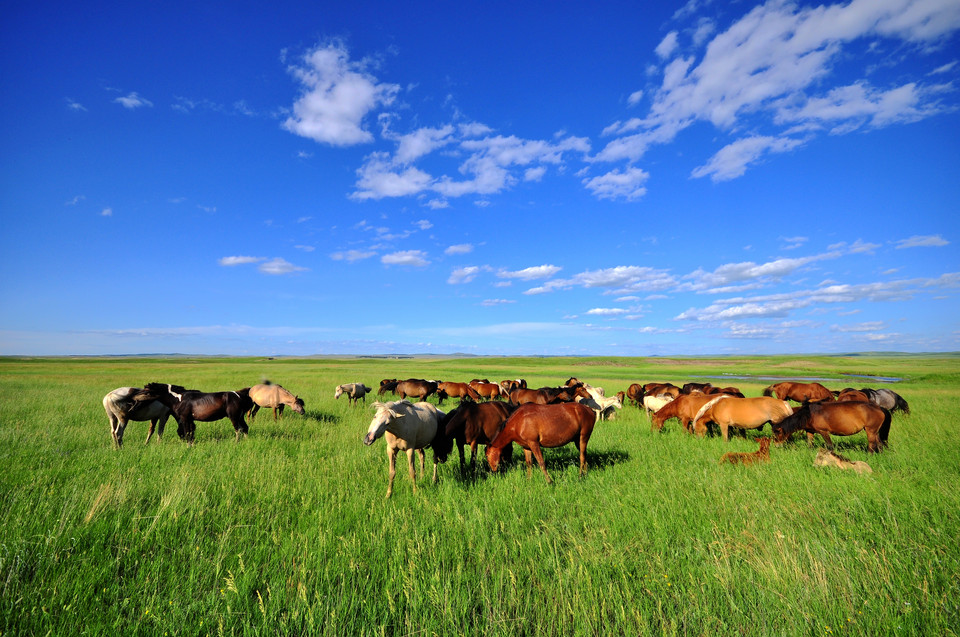 加拿大pc28预测(中国)官方网站