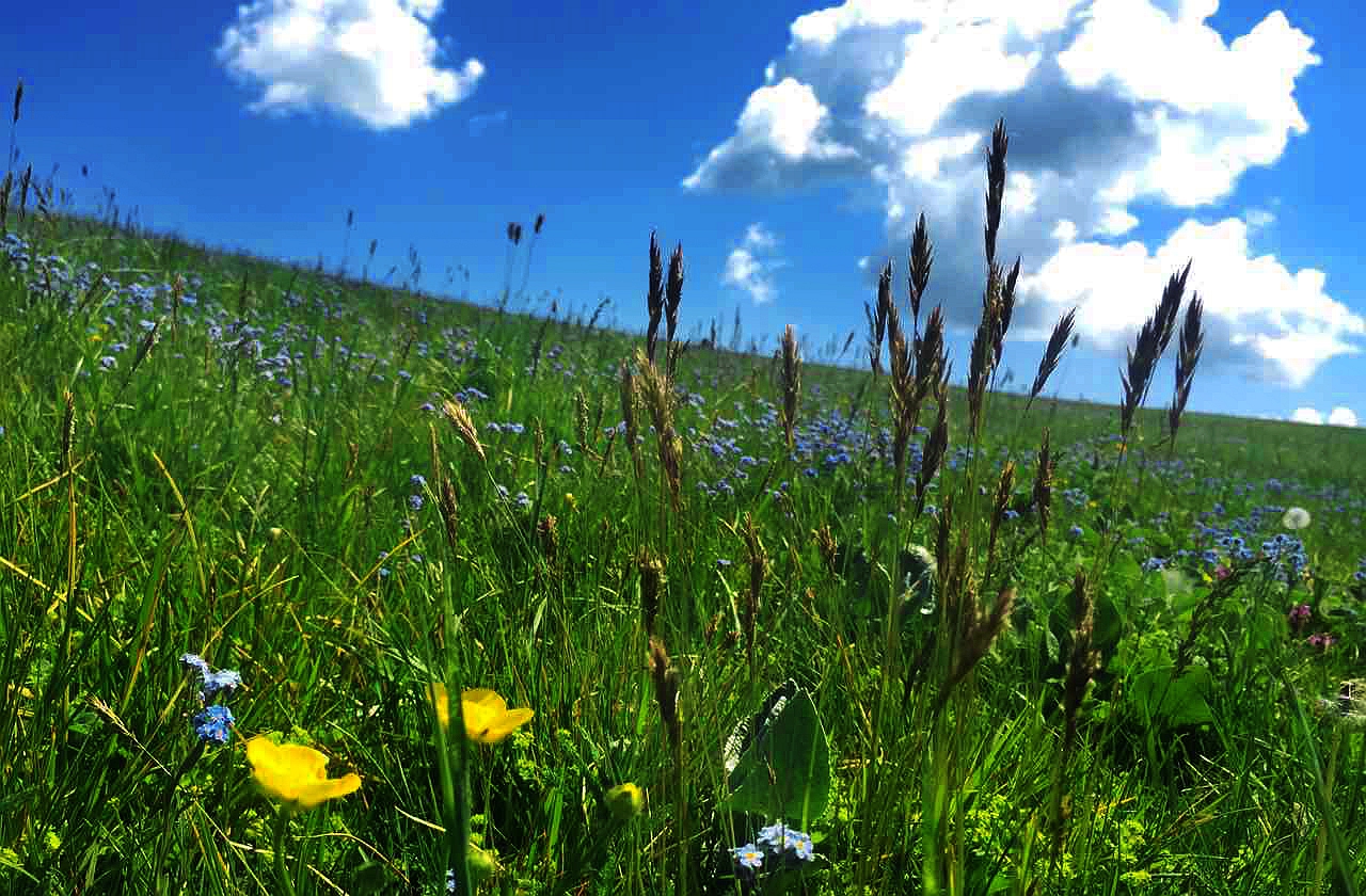 加拿大pc28预测(中国)官方网站