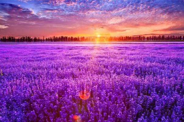 加拿大pc28预测(中国)官方网站