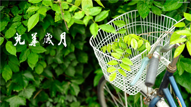 加拿大pc28预测(中国)官方网站