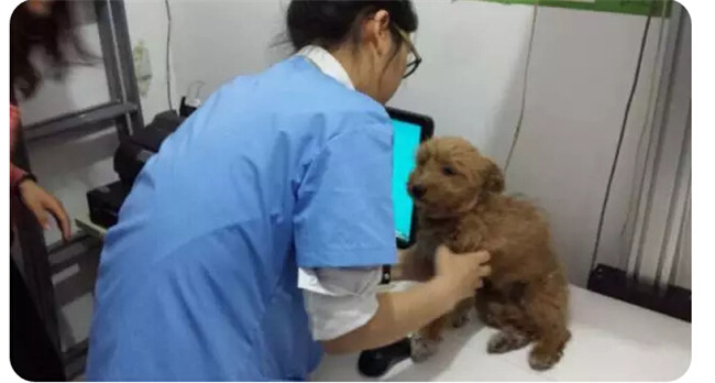 加拿大pc28预测(中国)官方网站