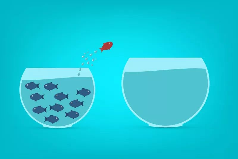 加拿大pc28预测(中国)官方网站