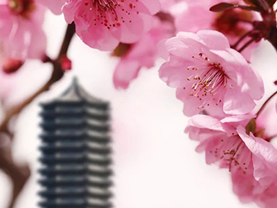 加拿大pc28预测(中国)官方网站